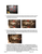 Polaris Ranger Economy Crew Full Skids - Trail Armor
