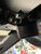 Polaris RZR Rear View Mirror Mount - UTV Inc