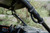 Can-Am Offroad Grab Handles - UTV Mountain