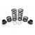 Polaris RZR Tender Spring Kit Walker Evans Needle Shock - Zbros Racing