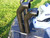 2014-2024 Polaris Sportsman 570/450/Touring/6x6/x2 Snorkel Kit