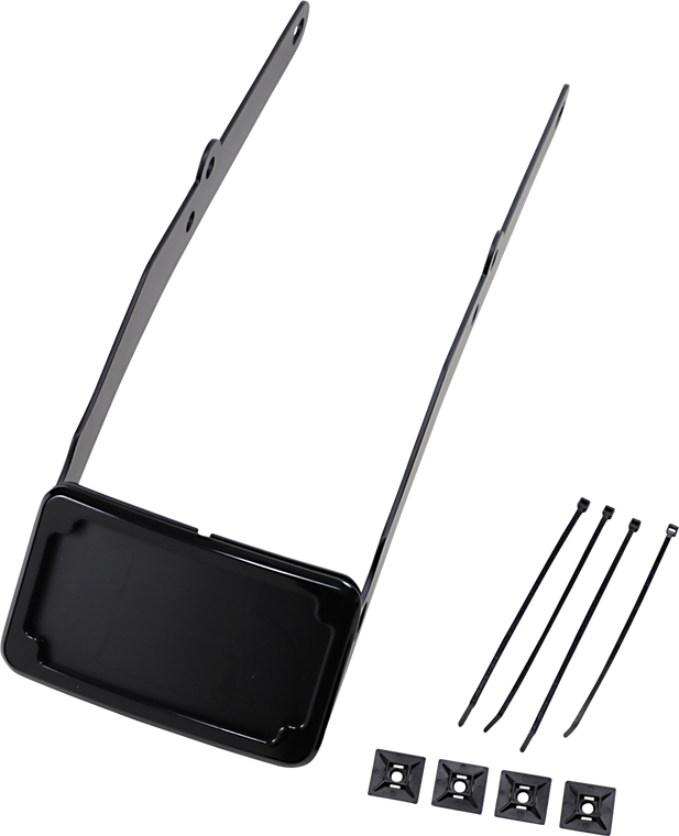 Cycle Visions - LP Plate Frame & Mount with Tag Light - FLSL - Black - Curved License Plate Frame and Mount with License Plate Light - CV4665B