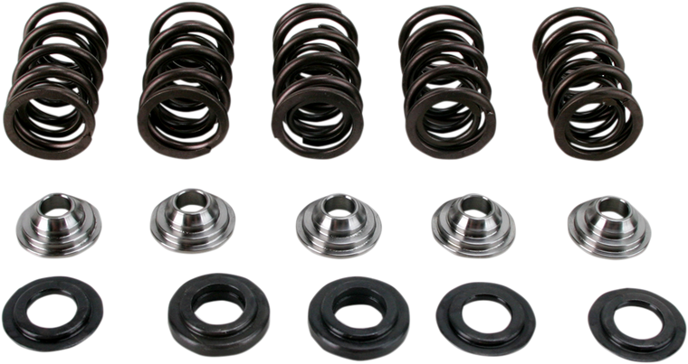 Hot Cams - Valve Spring Kit - Valve Spring Kit - SKYFM660S2