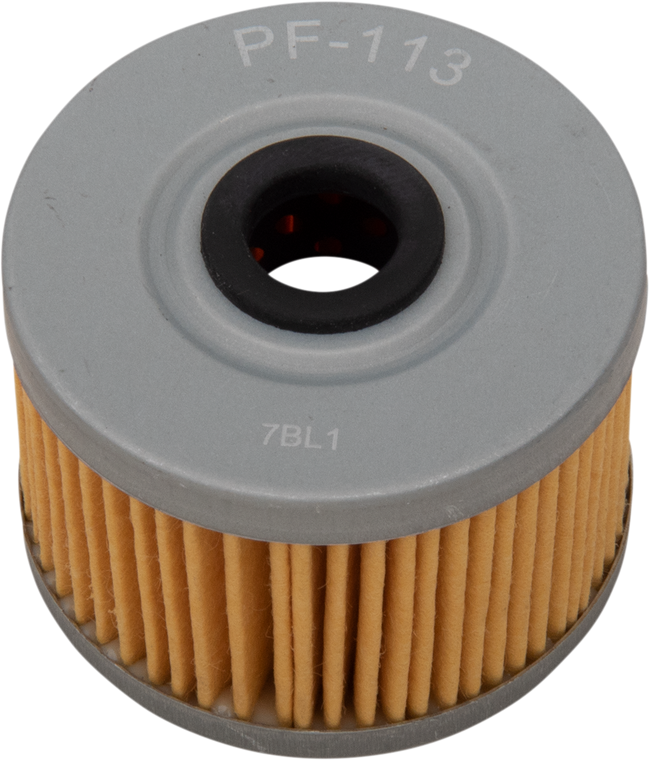 Pro Filter - Replacement Oil Filter - Replacement Oil Filter - PF-113