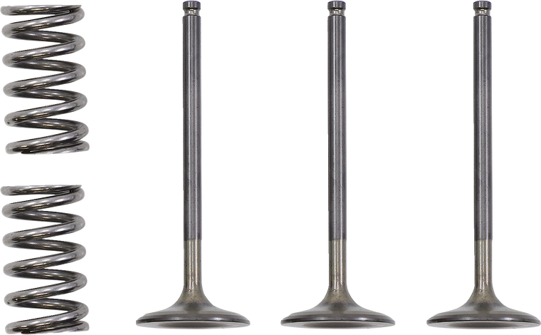 Prox - Valve and Spring Kit - Valve and Spring Kit - 28.SIS2424-2