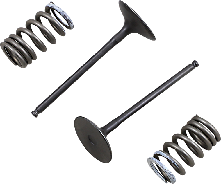 Prox - Intake Valve and Spring Kit - Valve and Spring Kit - 28.SIS3338-2