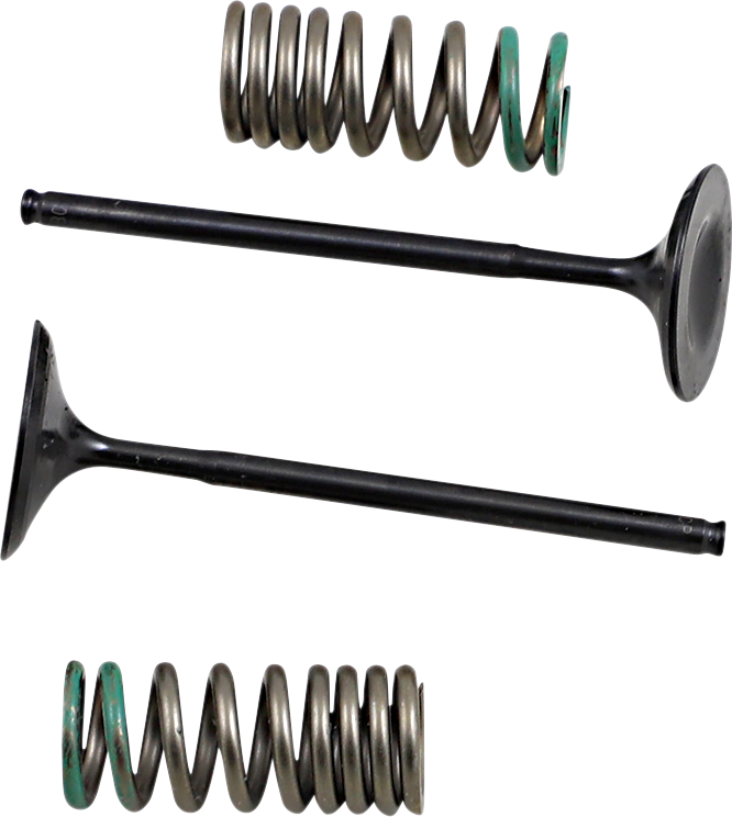 Prox - Intake Valve and Spring Kit - Valve and Spring Kit - 28.SIS1340-2