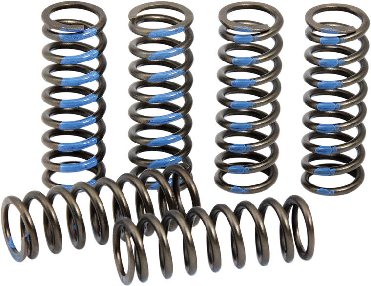 Pro Circuit - Clutch Springs - Clutch Spring Set - CSY19250-CS