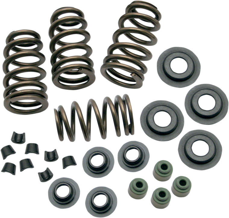 S&s Cycle - Valve Springs - .650" - Twin Cam - Sidewinder .650" Valve Spring Kit - 106-5909