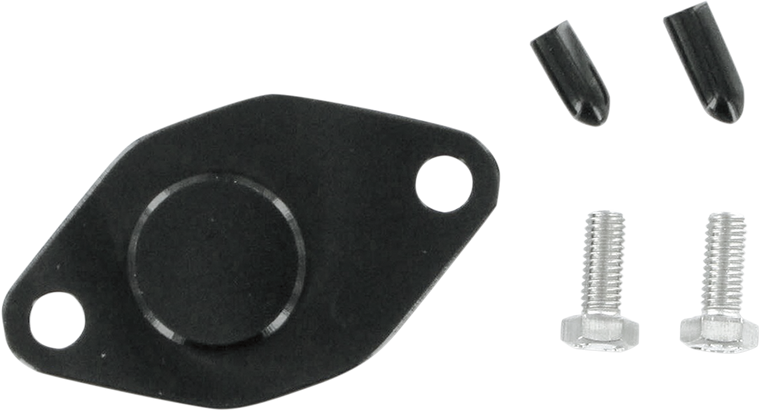 Wsm - Crank Case Block Off Plate - Oil Injection Removal Kit - 011-212
