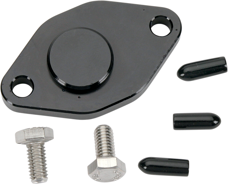 Wsm - Crank Case Block Off Plate - Oil Injection Removal Kit - 011-216