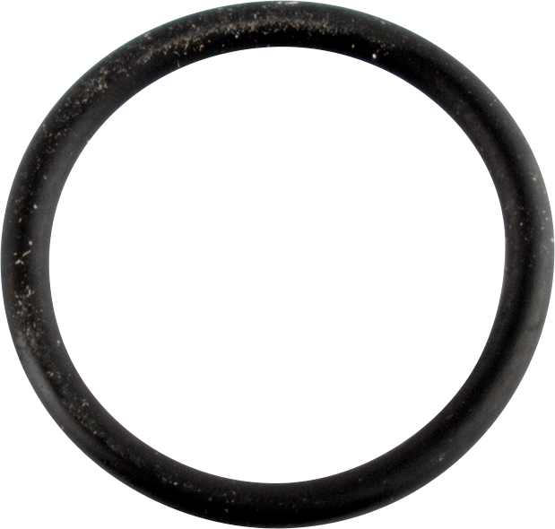 Wsm - Cam Sensor O-Ring - Cam Sensor O-Ring - 008-599-27