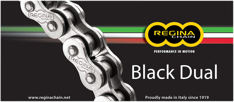 Regina - 525 ZRA - Series Chain - 124 Links - 525 ZRA Series Chain - 137ZRA/1000