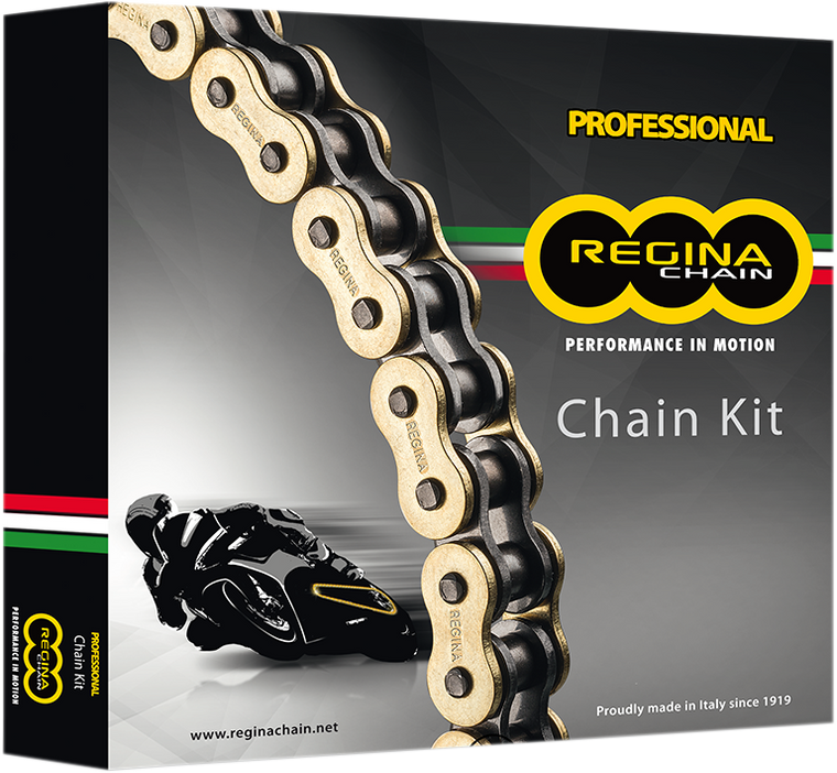 Regina - Chain and Sprocket Kit - Kawasaki - KLR650 - '90-'17 - Chain and Sprocket Kit - 5ZRP/106KKA015