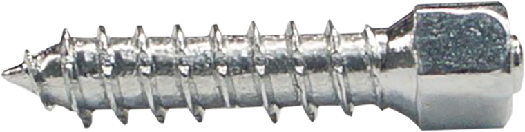 Woody's - Twist Tire Screws - 25 mm - 100 Pack - Twist Tire Screws - WST-0625-100