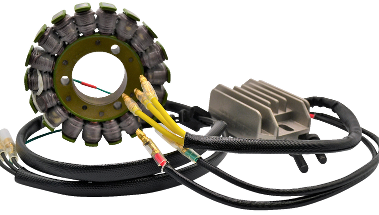 Rick's Motorsport Electric - Charging Kit - Hot Shot - Kawasaki - Lithium-Ion Charging Kit - 14-99-201H