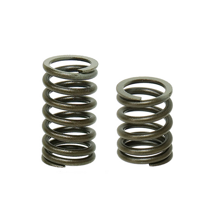 Bronco Products - Bronco Intake And Exhaust Valve Springs - AU-09518S-3