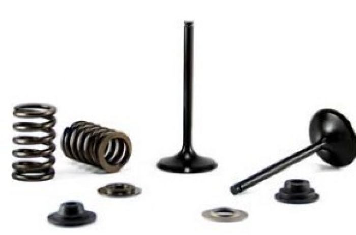 Bronco Products - Bronco Intake Valve - AU-09224I