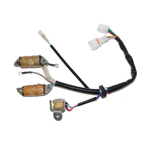 Electrosport - Electrosport Stator Yamaha Yfm50/80 Raptor/grizzly/badger - ESL172