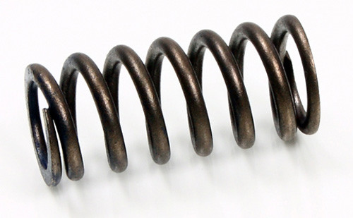 Psychic Products - Psychic Intake Valve Spring - XU-09519IS
