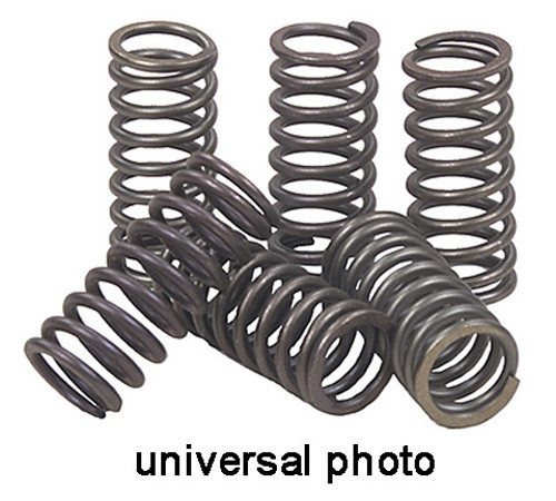Ebc - Ebc Clutch Springs - CSK12