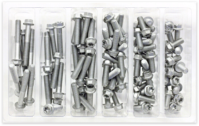 Bolt - M6 Euro Torx Flange Bolt Assortment 100 Piece Kit - SV-M6EURO