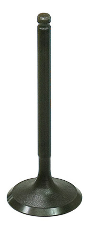 Bronco - Intake Valve - AU-09213I