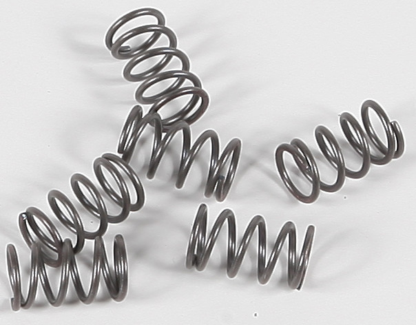 Ebc - Clutch Springs - CSK40