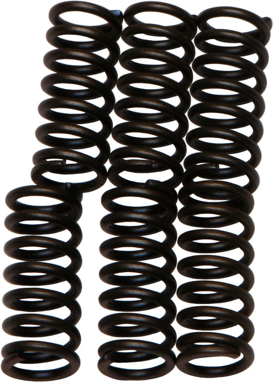 Ebc - Clutch Springs - CSK1