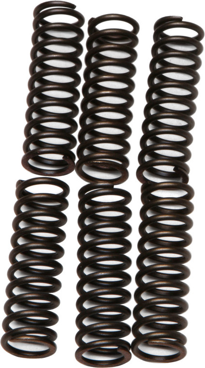 Ebc - Clutch Springs - CSK17