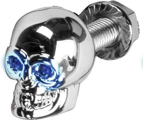 Harddrive - Lighted Skull Lic Plate Screw Blue - H040079