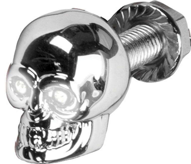 Harddrive - Lighted Skull Lic Plate Screw White - H040081