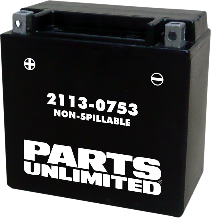 Parts Unlimited - AGM Battery - YTX14 - AGM Maintenance-Free Battery - CTX14