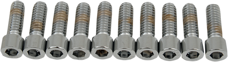 Drag Specialties - Bolts - Socket-Head - Smooth - 1/4-20 x 3/4" - Socket-Head Bolts - MPB179S