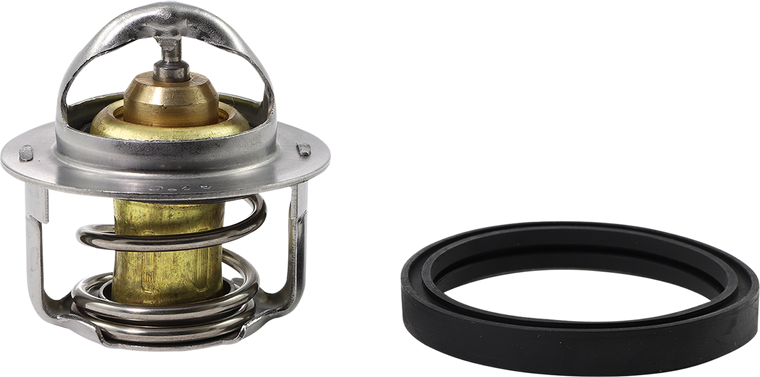 All Balls - Thermostat Polaris - 16-3001
