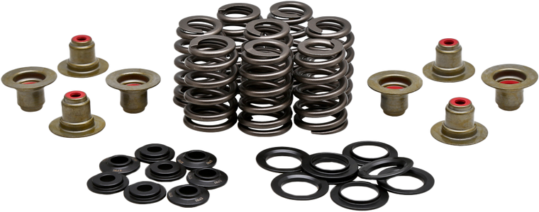 Kpmi - Beehive Valve Spring Kit .550 Lift  M8`17-24 Non Vvt - 20-21215