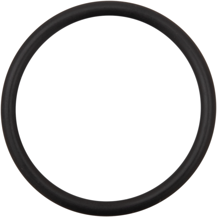 James Gasket - O-ring Alt Cap Cover - JGI-ST-11900029