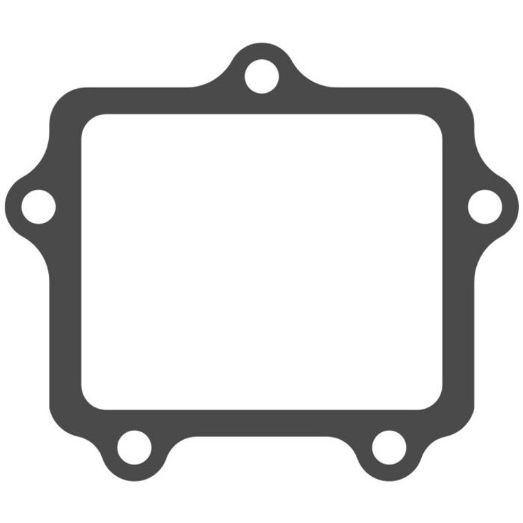V-force Gasket - G407
