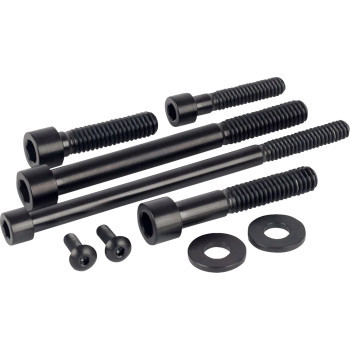Figurati Designs - Bolt Kit Engine Titanium M8 Touring Black - FD100-M8-TBOLT-BLK