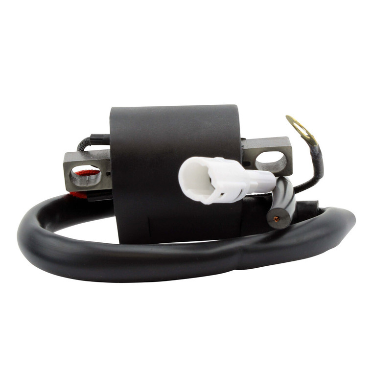 Rm Stator - External Ignition Coil - RMS060-105954