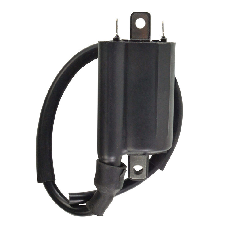 Rm Stator - External Ignition Coil - RM06163