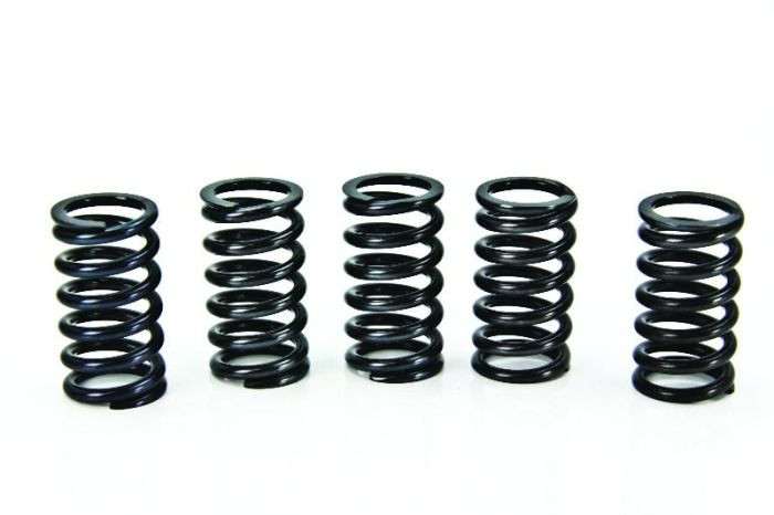 Prox Clutch Spring Kit Dr-z400 '00-09 + Lt-z400 '03-09 - 17.CS44019