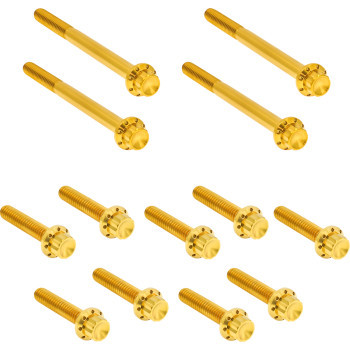 Arlen Ness - Hardware Kit Titanuim 12pt Primary Cover Gold - 300-931