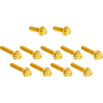 Arlen Ness - Hardware Kit Titanuim 12pt Cam & Point Cvr Gold - 300-982