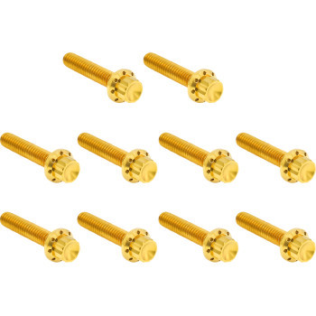 Arlen Ness - Hardware Kit Titanuim 12pt Cam & Point Cvr Gold - 300-988