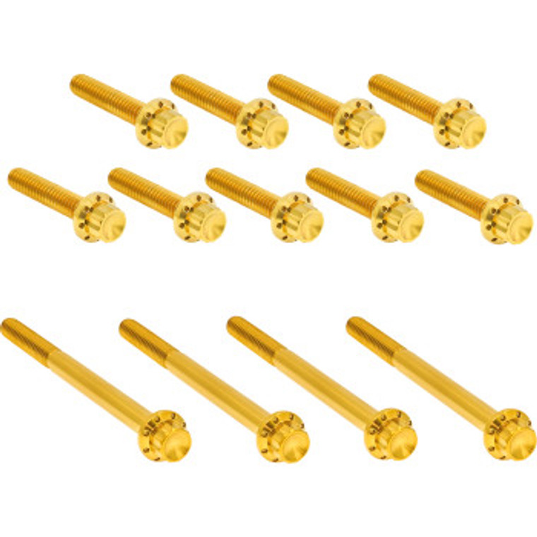 Arlen Ness - Hardware Kit Titanuim 12pt Primary Cover Gold - 300-991