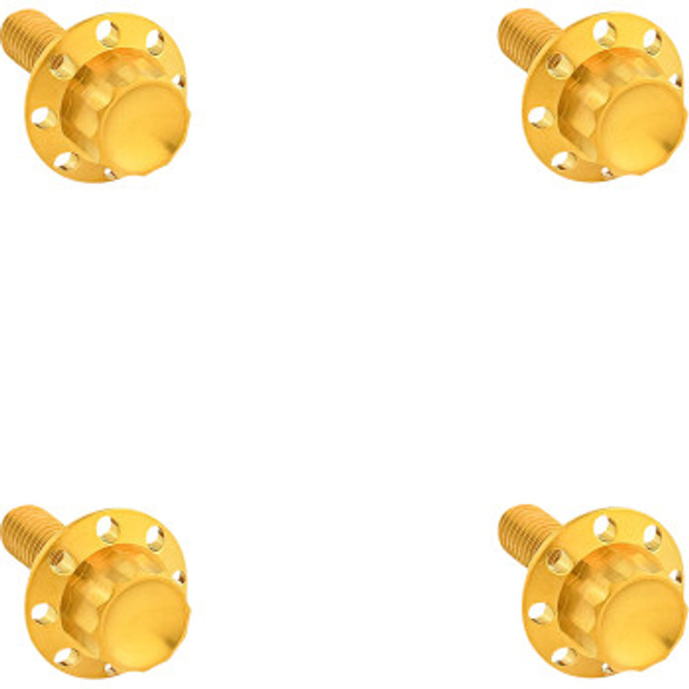Arlen Ness - Bolt Kit Titanium 12pt  Windshield Gold - 300-841