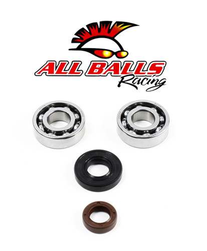 All Balls Racing - Crank Bearing And Seal Kit - 24-1101