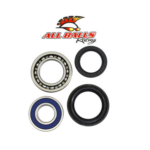 All Balls Racing - Rear Wheel Bearing Kit - Both Wheels - 25-1018
