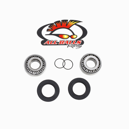All Balls Racing - Swing Arm Bearing Kit - 28-1084